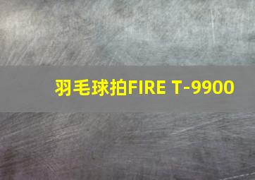 羽毛球拍FIRE T-9900